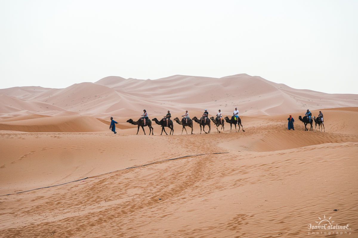 Mezouga Sahara Desert Morocco 9