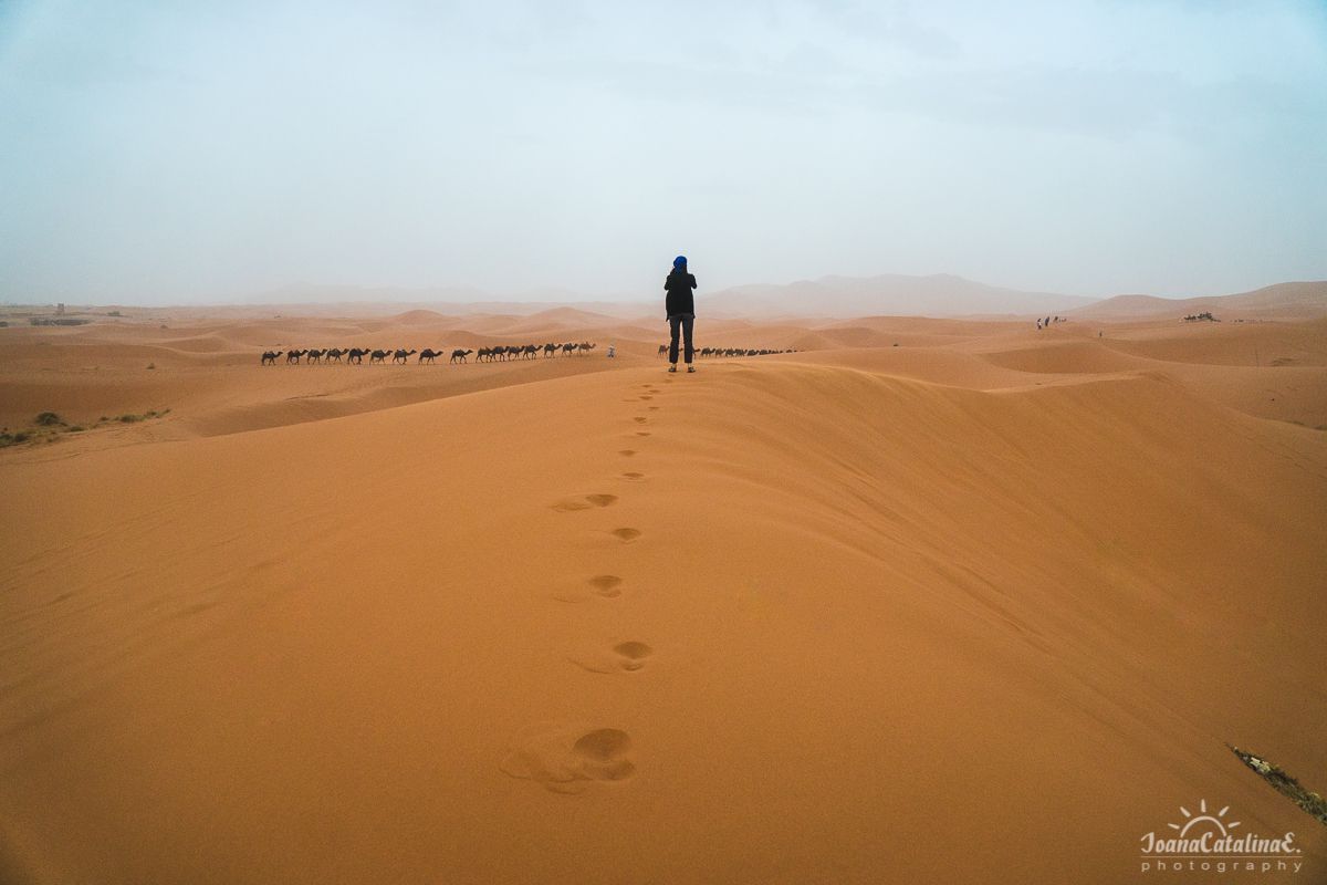 Mezouga Sahara Desert Morocco 10