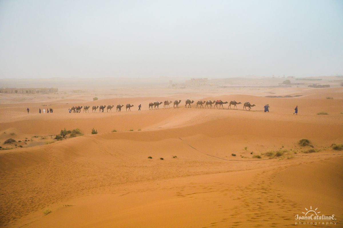 Mezouga Sahara Desert Morocco 11
