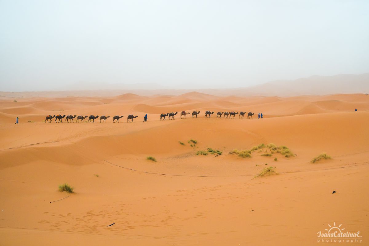 Mezouga Sahara Desert Morocco 13