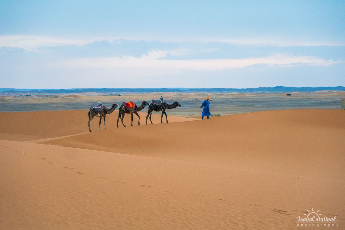 Mezouga Sahara Desert Morocco 17