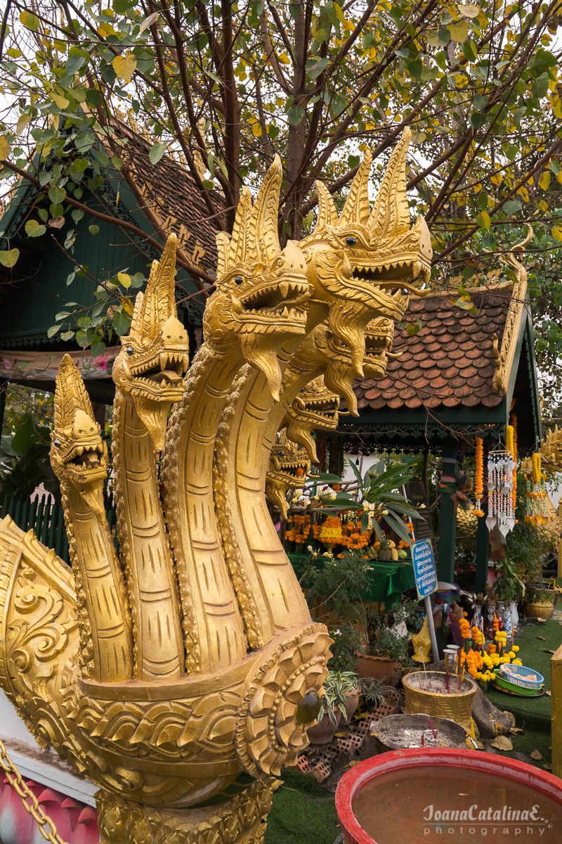 Vientiane Laos 5