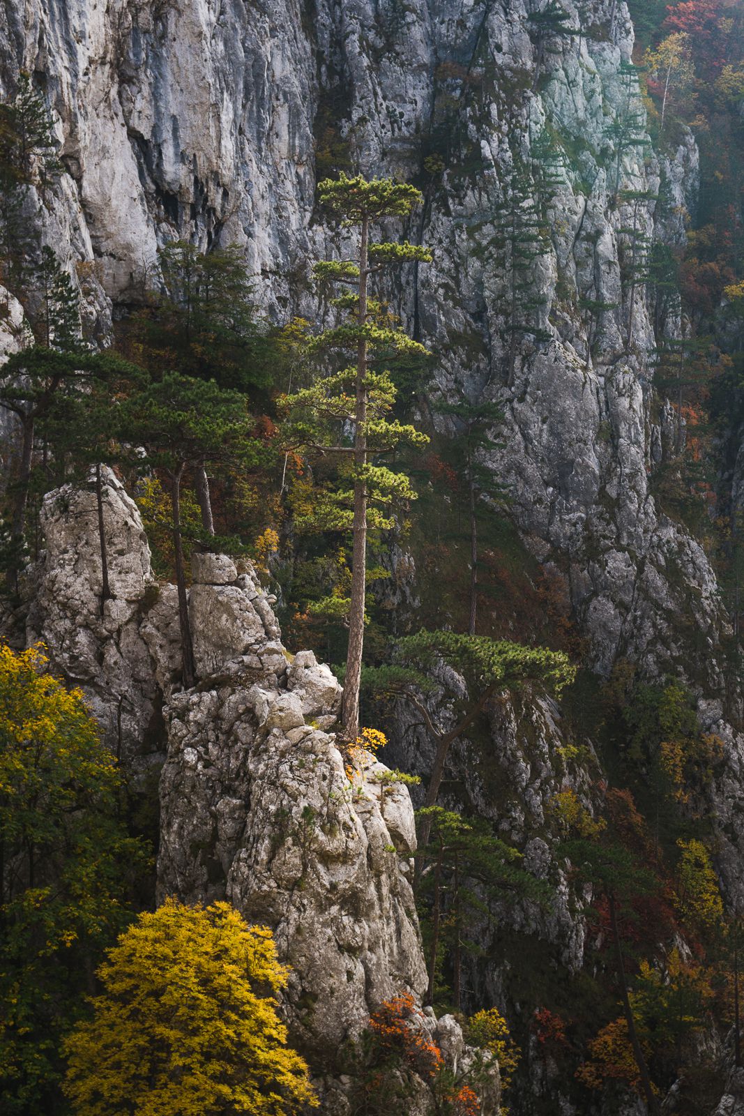 Mehedinti Mountains Romania 15