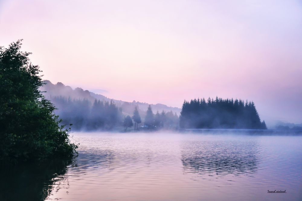 Foggy morning over a lake