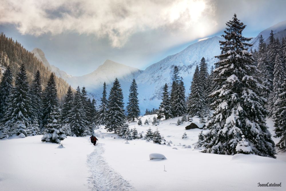 Winter mountains scenery in Romania