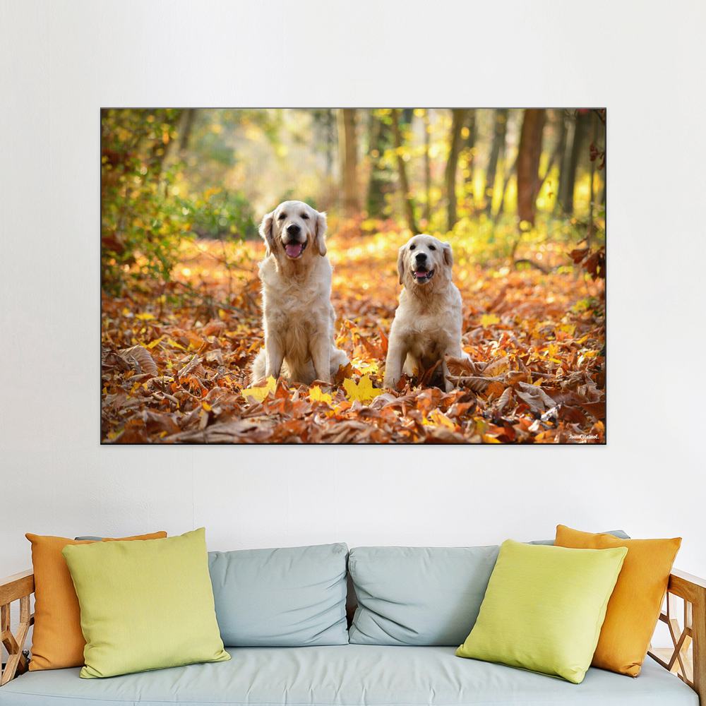 Dogs sitting in the forest surrounded by autumn colors