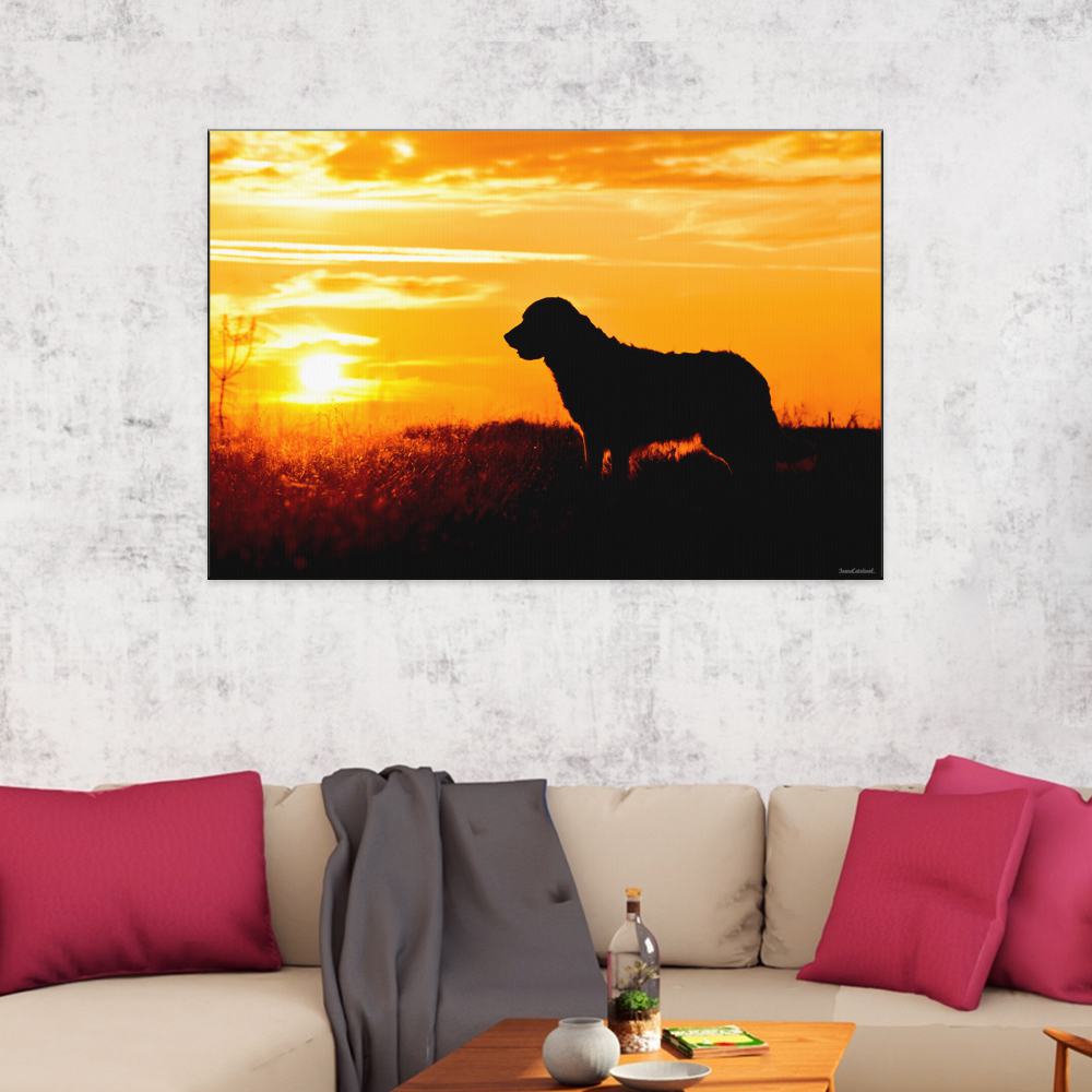 Golden retriever silhouette at sunset